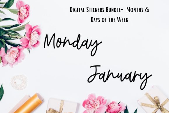 Download Digital Stickers Bundle Months and Days - Stickers Collection